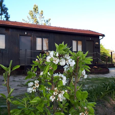Vila Casinha Do Cedro Baião Exteriér fotografie