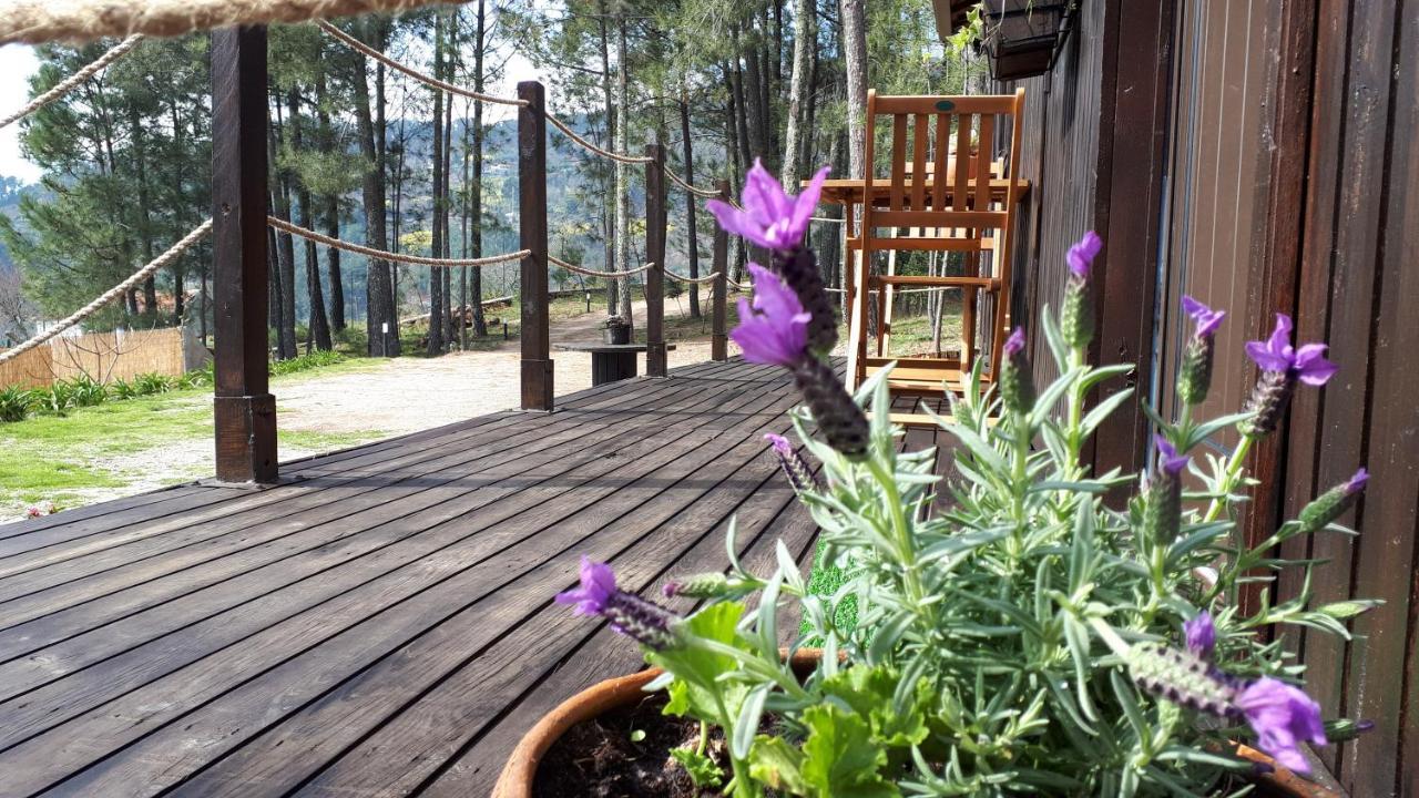 Vila Casinha Do Cedro Baião Exteriér fotografie