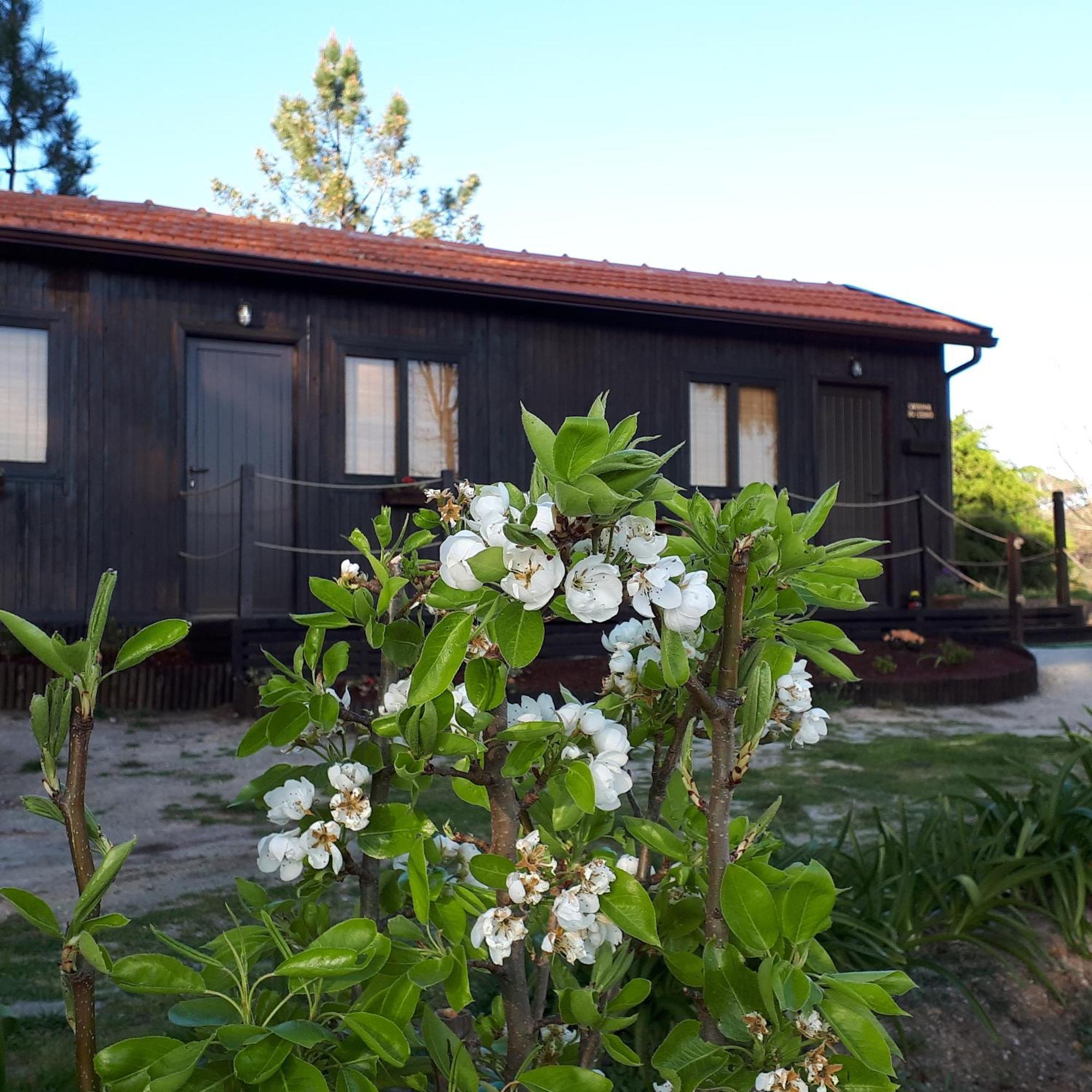 Vila Casinha Do Cedro Baião Exteriér fotografie